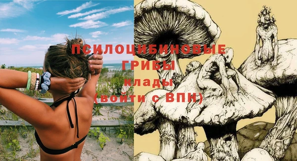 бошки Бугульма
