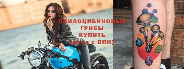 бошки Бугульма